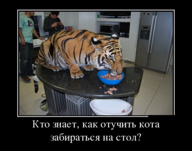 Картинки с надписями