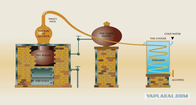 Как делают кальвадос и коньяк