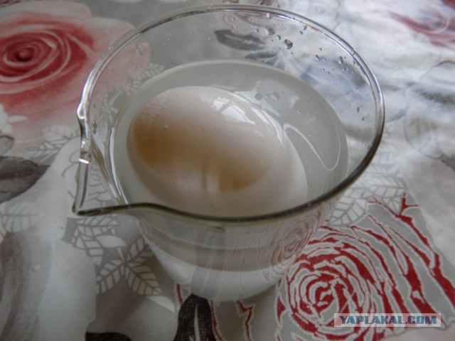 Скумбрия малосольная