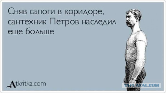 Порция картинок из сети
