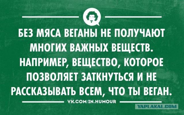 Веганство как одна из форм психического расстройства