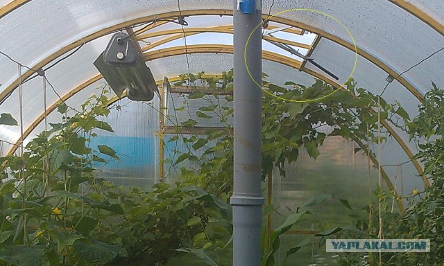 Теплица деревянная, двумя руками