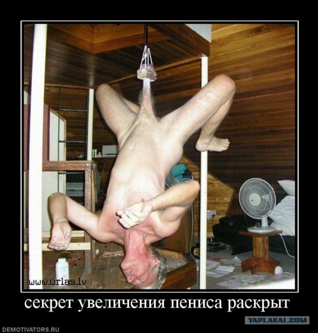 ТОП-10 ложных способа определения размера пениса