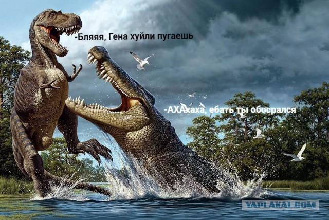 Нестандартный юмор