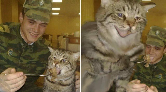 Юмор не для всех