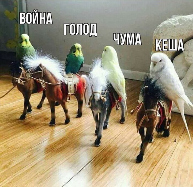 Специфический юмор