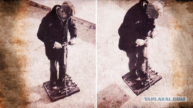Человек научился летать