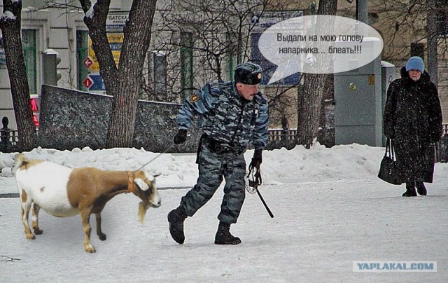 Сопротивление сотруднику полиции