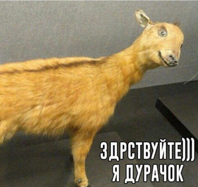Вдарим