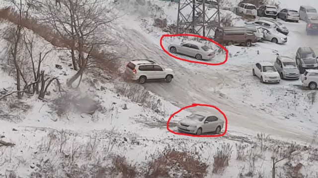 «Мыши плакали, кололись, но продолжали грызть кактус»