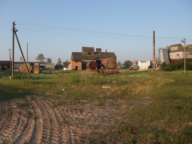 Август в деревне