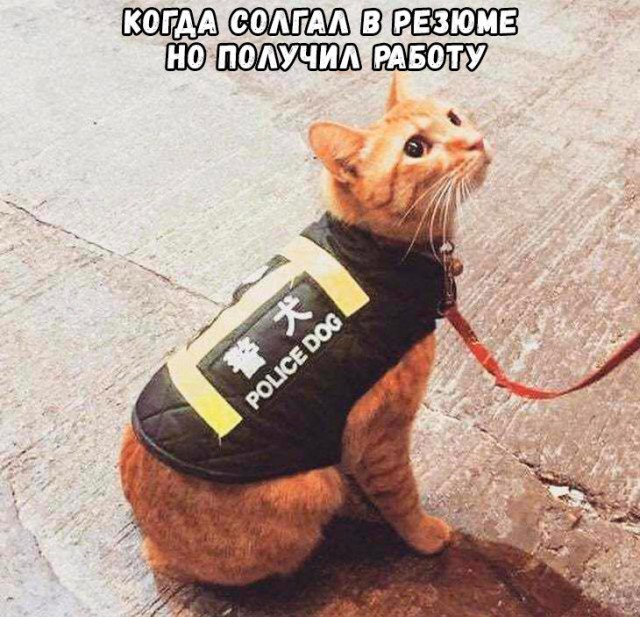 Немного картинок для настроения 25.10.19