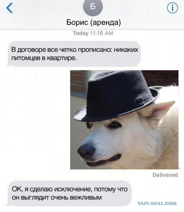 Немного картинок для настроения 24.01.20