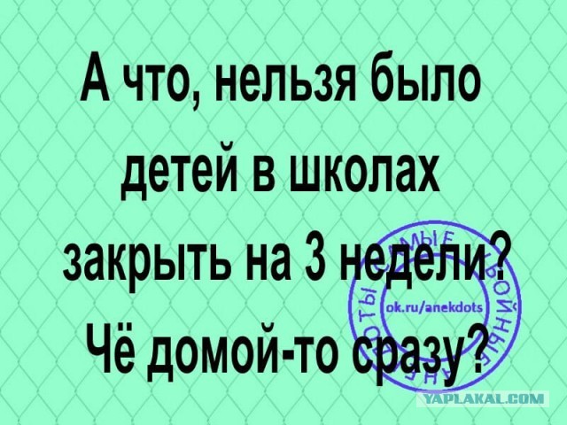 Бредзона 30.03.2020
