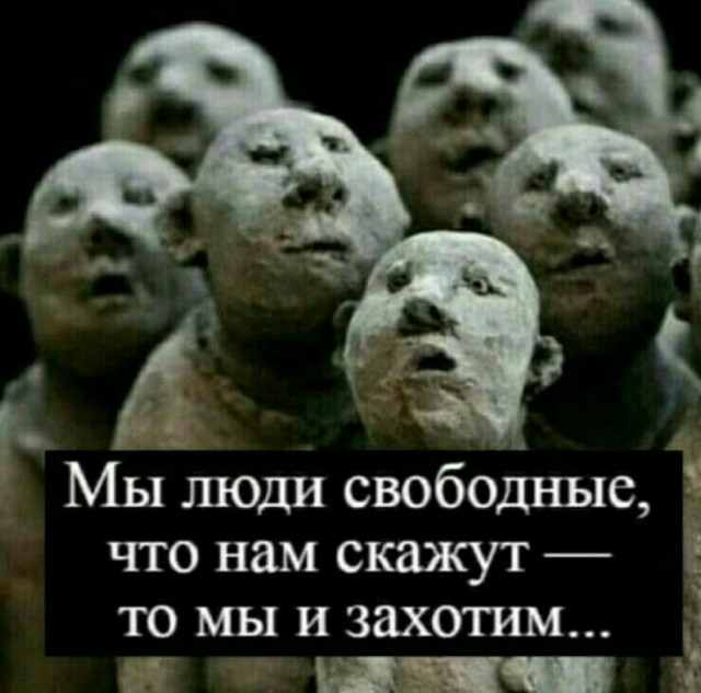 Ночной крик