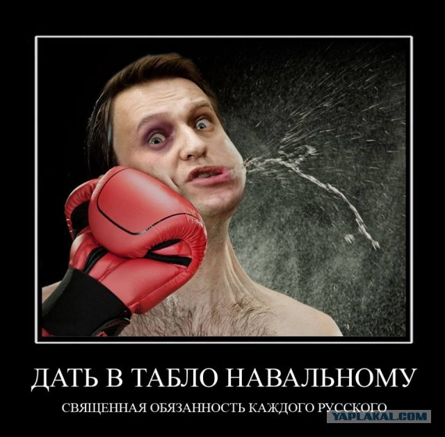 Навальный поблагодарил пилотов и медиков скорой помощи