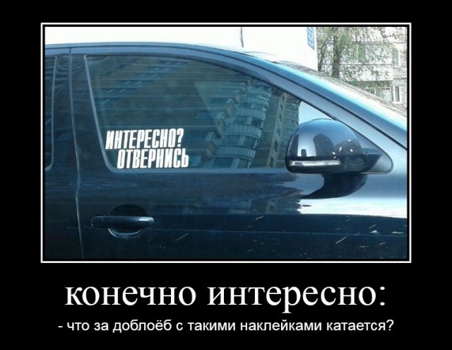 Фотки и картинки: юморные и красивые, забавные и милые 02.11.20