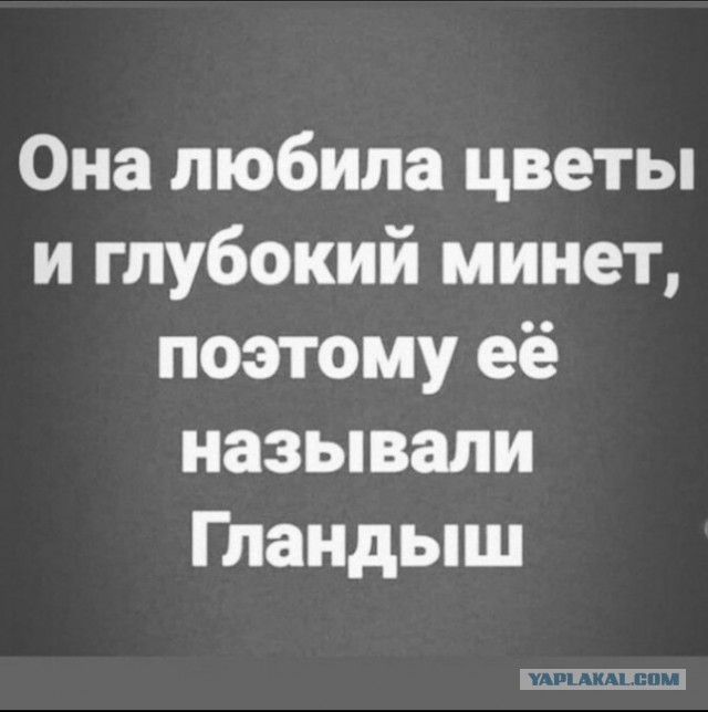 Дурацкие картинки