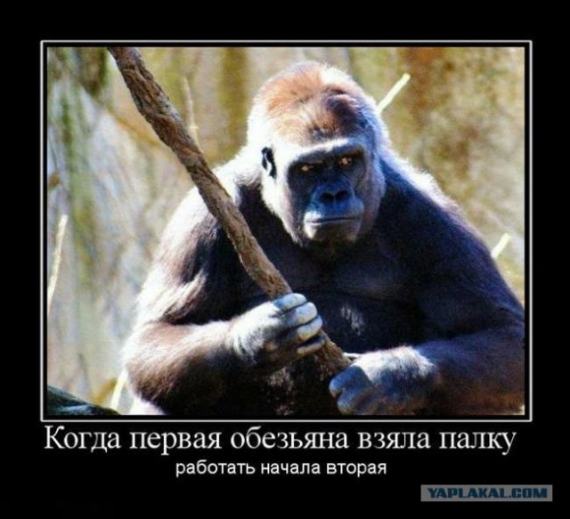 Человек-обезьяна спасает мир