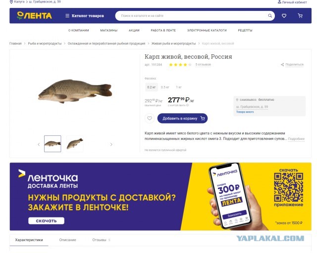 Работать за еду