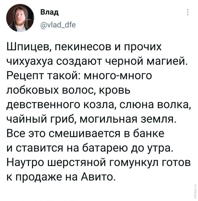 Картинки и мемы для настроения