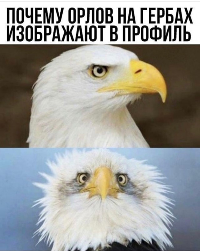 Так себе картинки 22.08.21