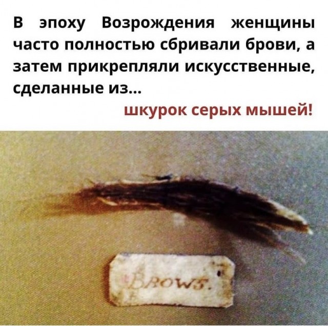 Весёлый полтишок 09.09.