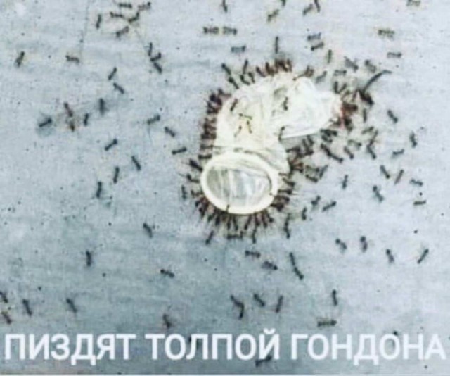 Картинки и мемы для настроения 05.10.2021
