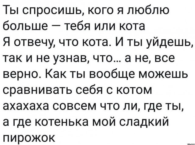 Что делать, если муж больше любит кошку?