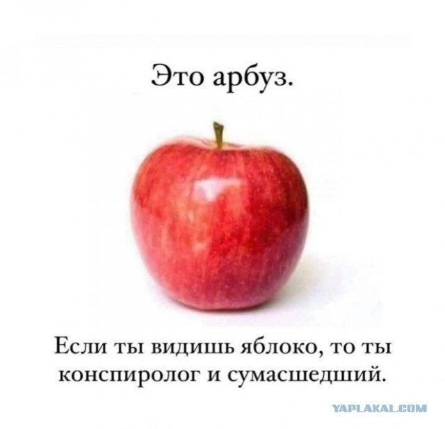 Зомби-апокалипсис 2022