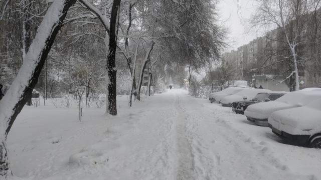Дождь