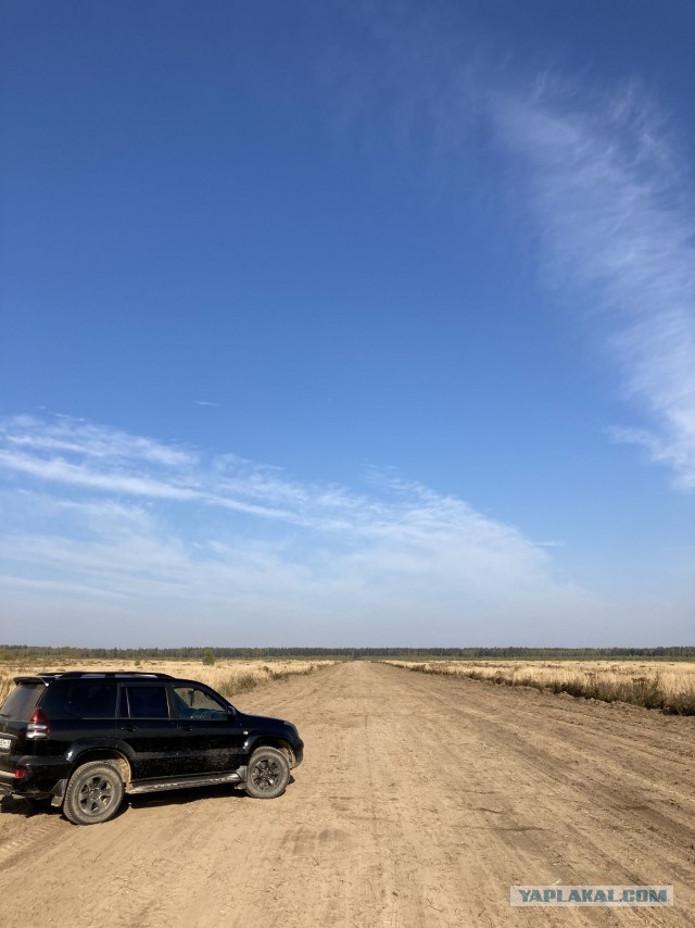 Краш-тест Haval H6