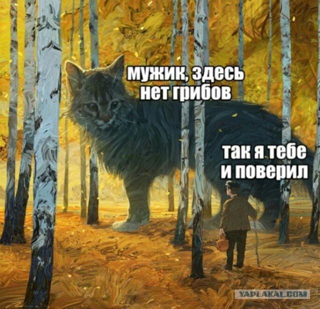 Скоро все изменится. Инфа 100%