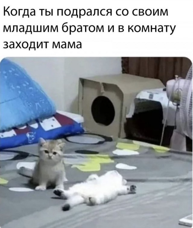 Картинки и мемы, всем хороших выходных