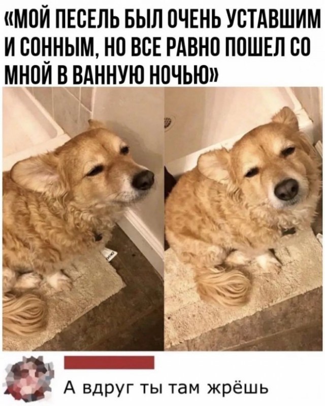 Картинки и мемы для настроения - 21