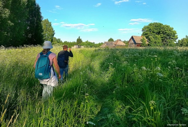 Заброшенная деревня в Ярославской области