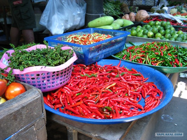 Такой разный остров Самуи