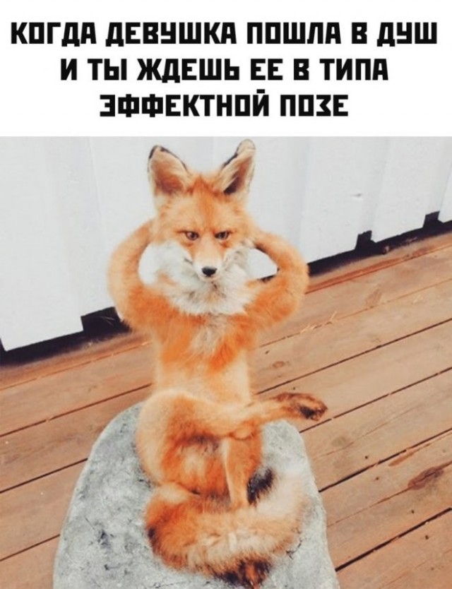 Картинки и мемы из Сети 24.07.22