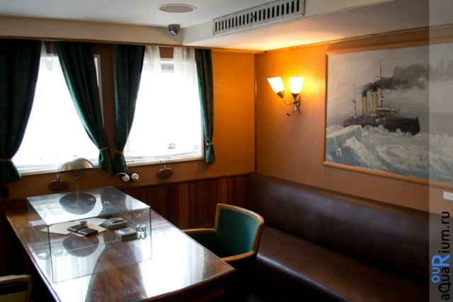 СПб глазами уставшего туриста...