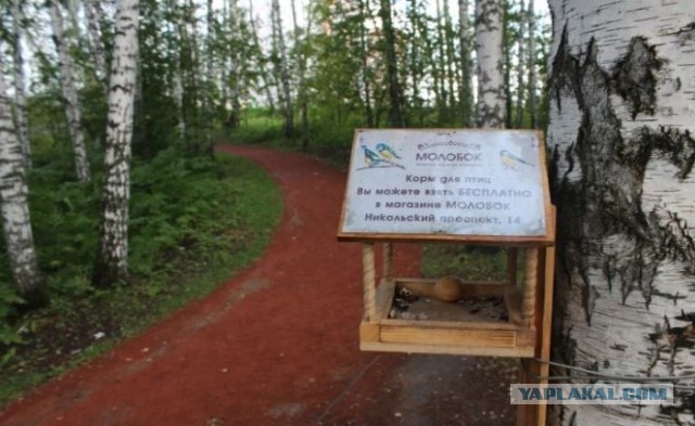 Наукоград Кольцово, Новосибирская область
