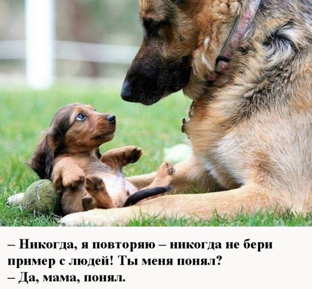 Жительницу Саратовской области подозревают в убийстве трех внуков и девушки