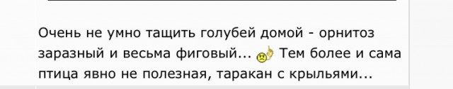 Петербурженка ударила ножом мужчину, пнувшего котёнка