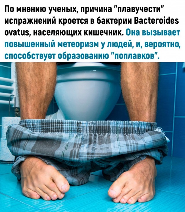 Вот это новость. Вот это я понимаю, Наука!