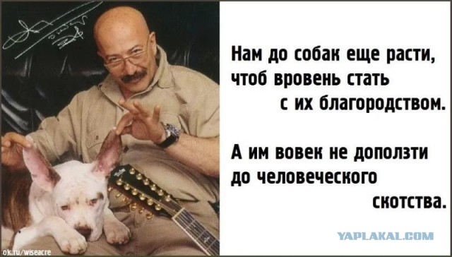 "Блин, соринка в глаз попала"