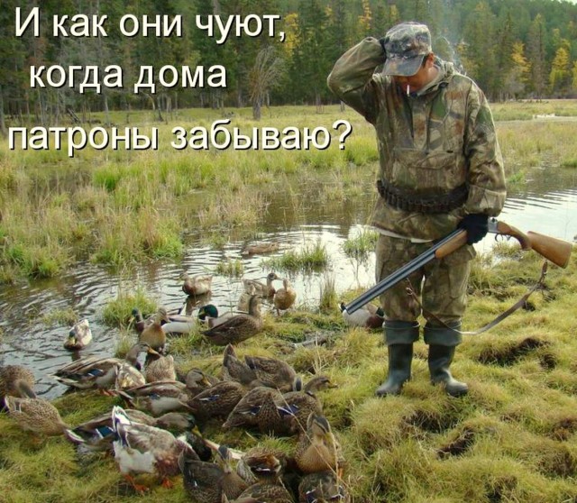 Каждый охотник желает знать...