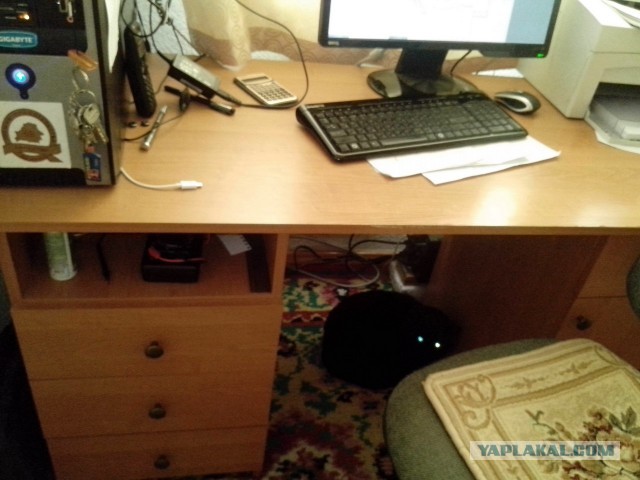 Котовторник 26.03.2013