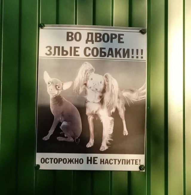 Так себе картинки 02.03.23
