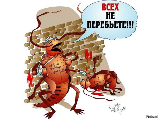 Как я в САСШ с клопами познакомился