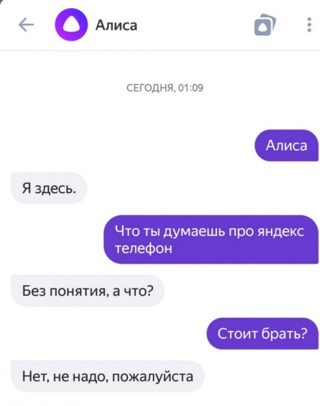 Включи алиса ты меня любишь