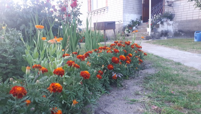Красивое Вам